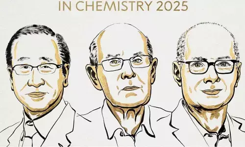 Trio wins Chemistry Nobel for metal-organic frameworks