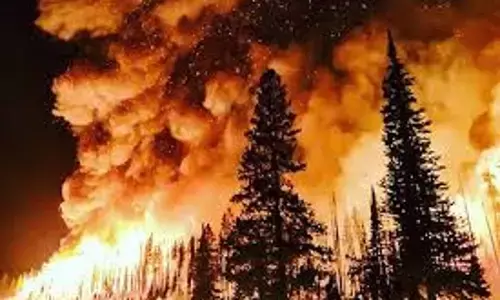 Florida man arrested in connection with massive Palisades Fire