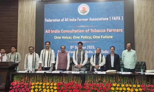 Farmers Call for Uniform Regulation Across All Tobacco Types Amidst Market Imbalances