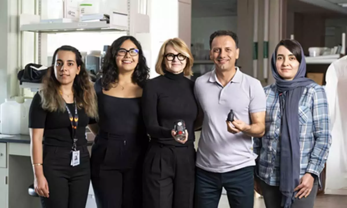 New seaweed-based tablet to transform menstrual cups into health tracking tools