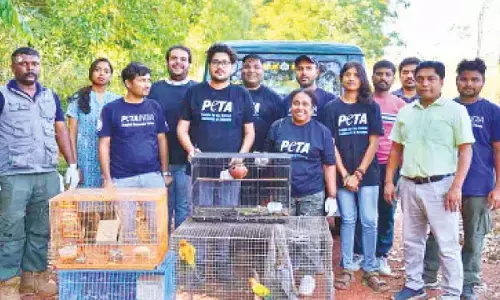 Fifth raid on Udupi animal hoarder leads to FIR, rescue of 16 more animals