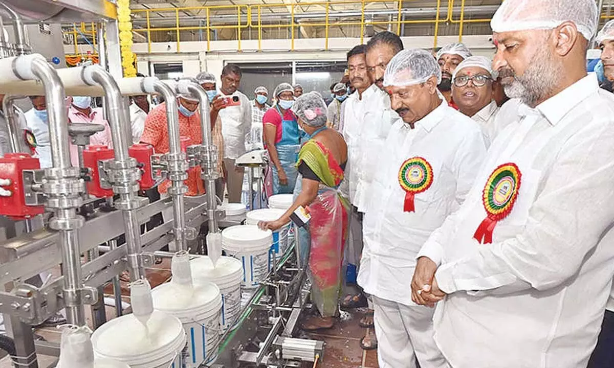 Automatic curd plant ‘churns’ at Karimnagar Dairy