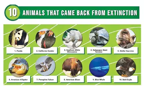 Resurrection of extinct species; The way forward