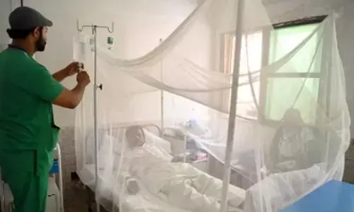 Pakistan: Dengue outbreak in Panjgur sparks concerns, locals call for emergency measures