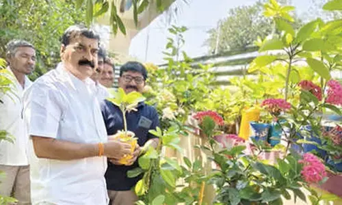 MP praises teachers for promoting health through home gardening