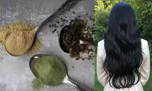 Ayurvedic Hair Powders Every Desi Woman Swears By for Stronger, Longer Hair