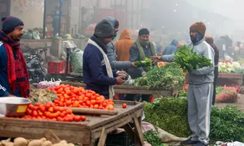 CPI inflation expected to settle at 2.8 pc for FY 26: Report