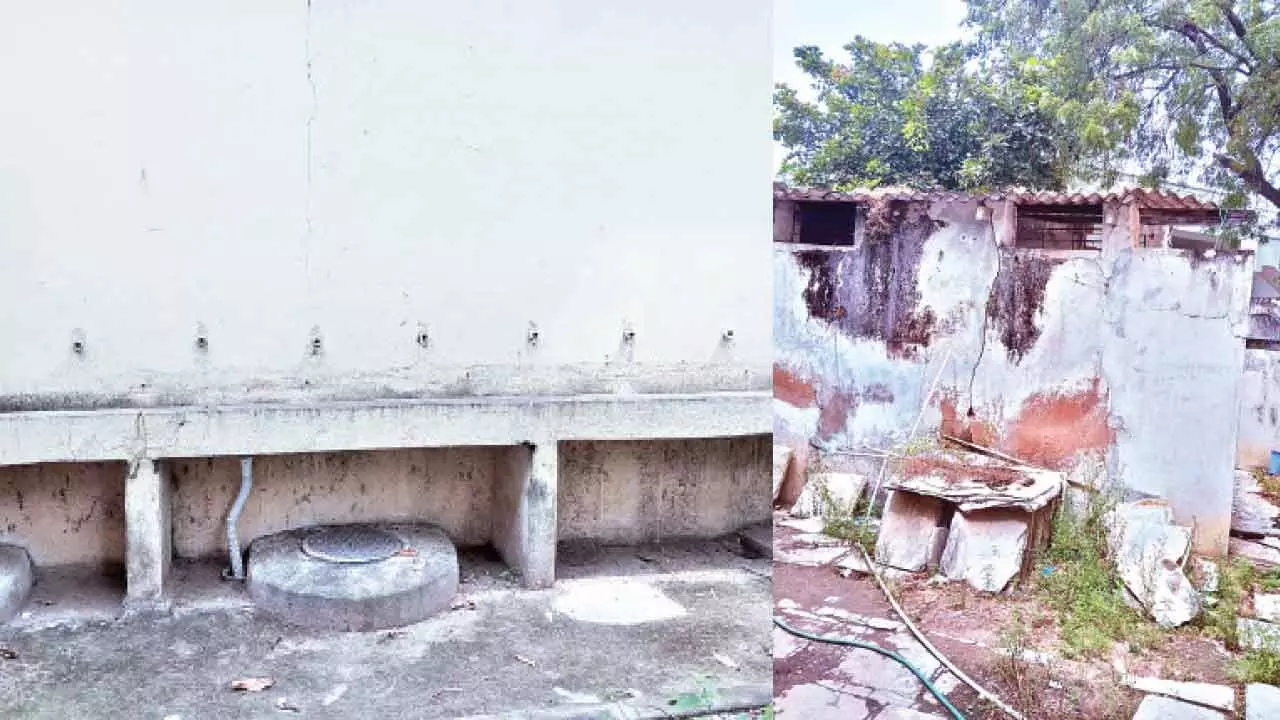 Neglect, vandalism shrouds girls college building
