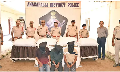 276 kg ganja worth Rs 13.7L seized