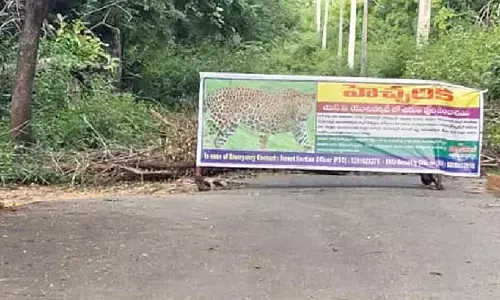 Panic grips SVU, Vedic campuses after fresh leopard sightings