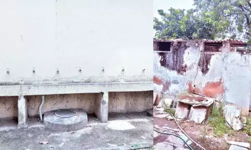 Neglect, vandalism shrouds girls college building