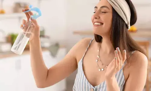 Best DIY Homemade Air Fresheners for Every Room in Your Home