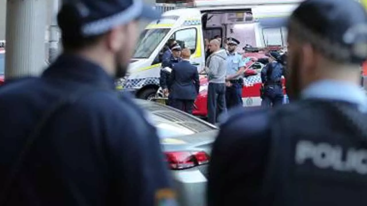 Australia: Three arrested after 415 kg of drugs seized by Sydney police