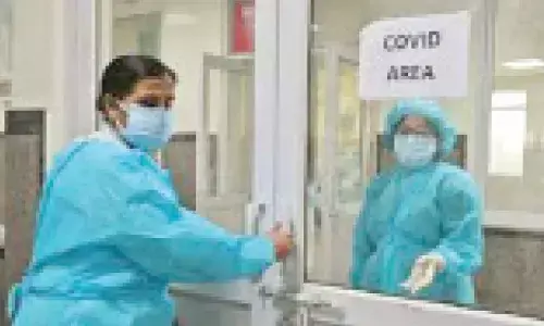 COVID may alter offspring’s brain growth, cause anxious behaviour