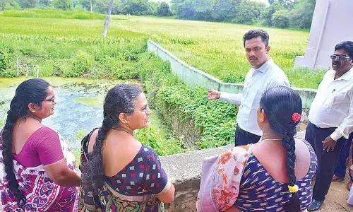 Collector inspects special sanitation campaign