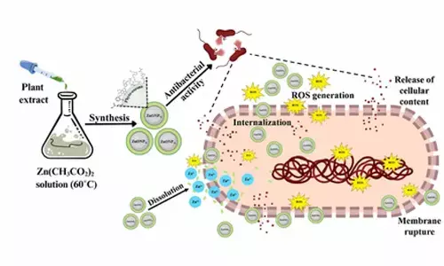 NIT Rourkela researchers pioneer green alternative to fight antibiotic resistance