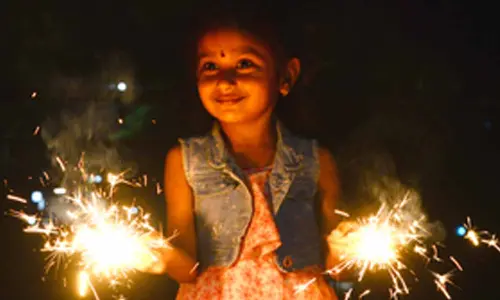 Delhi ministers welcome Supreme Court nod to ‘green Diwali’ in capital