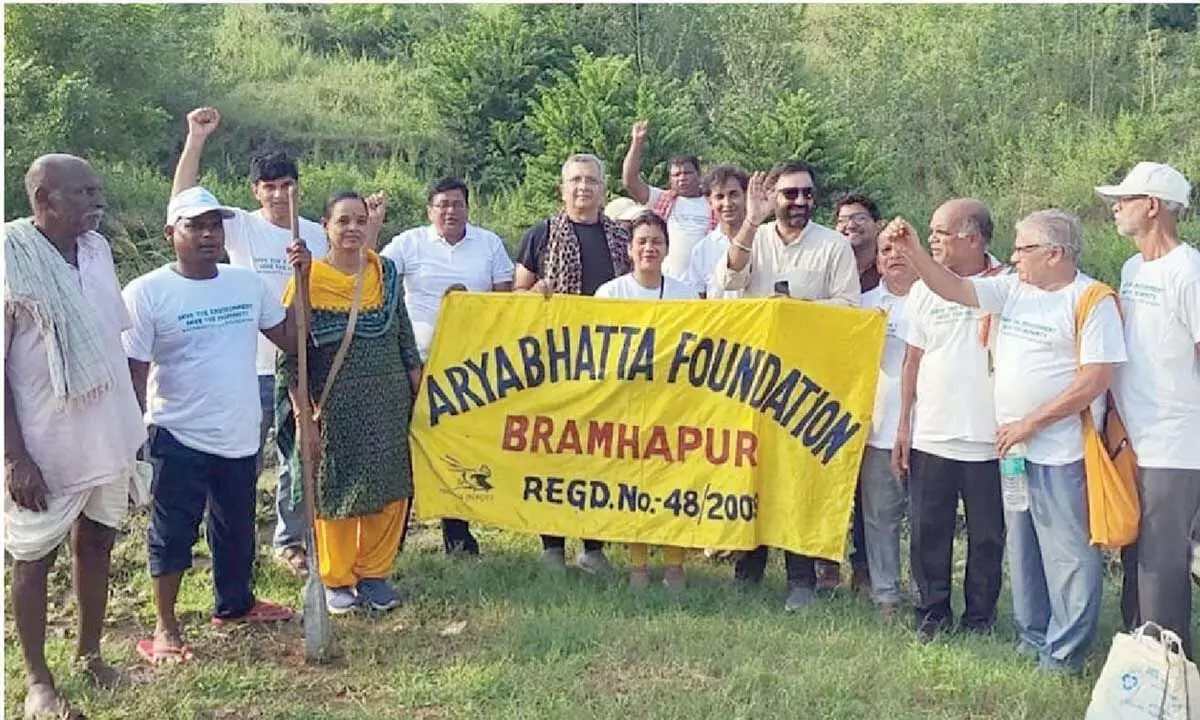 A wasteland has now turned into lush green forest