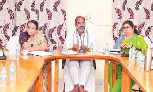 LED screens to facilitate darshan of Lord Rajanna