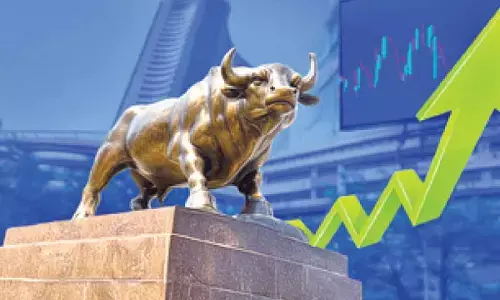 DIIs salvage Dalal St, offset unabated FII outflows