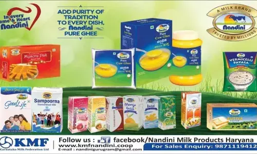 KMF Launches Sugar-Free Nandini Sweets for Diabetics Ahead of Diwali