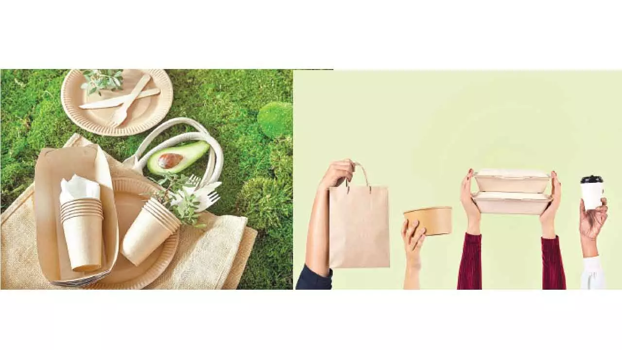 Eco-Friendly Packaging in the Food Industry: Trends and Innovations