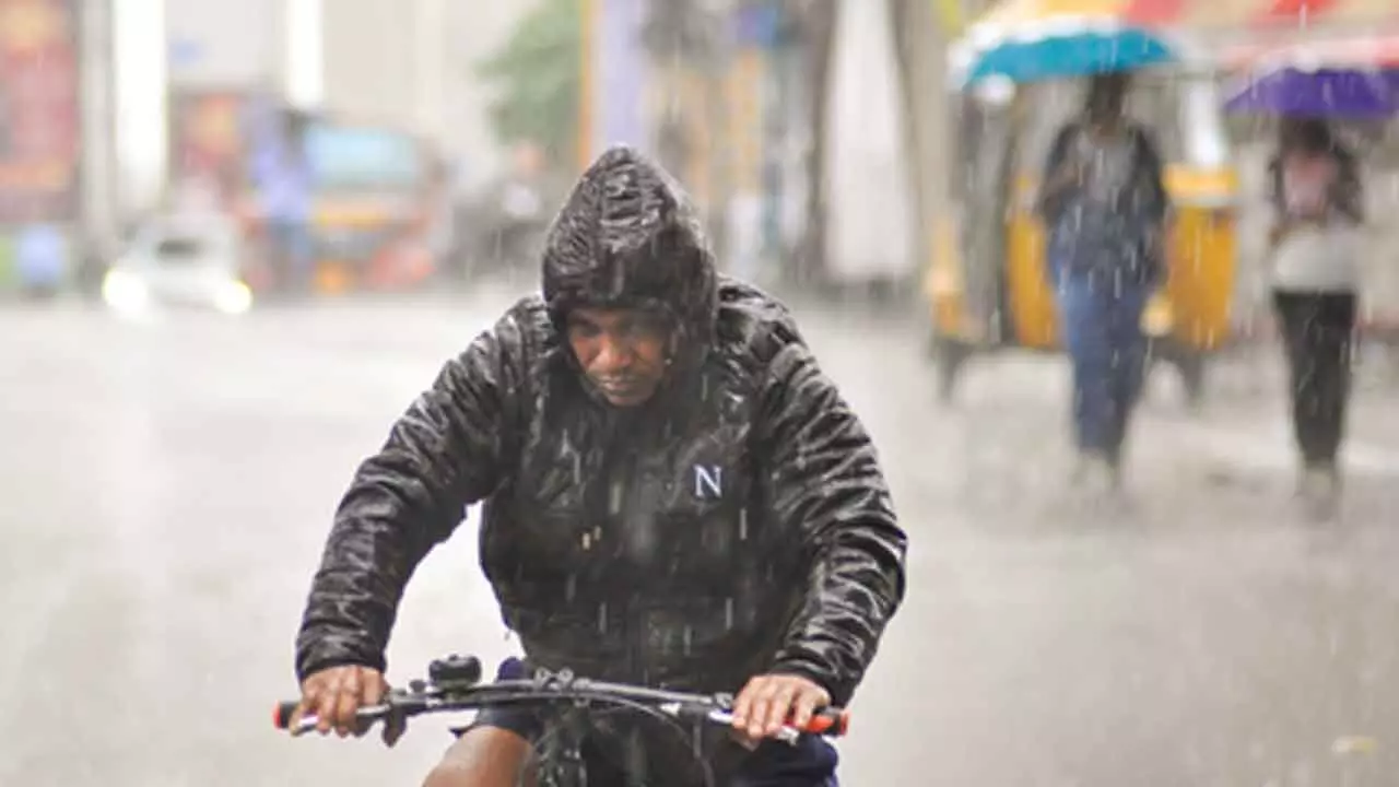 2025 marks second straight year of above-normal rainfall: Experts