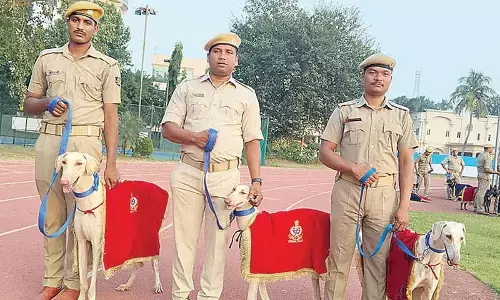 Maintaining communal harmony top priority: DGP