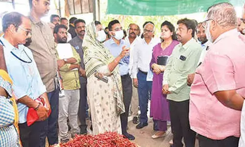 Collector inspects Guntur Mirchi Yard