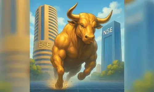 Renewed FII inflows spur bull run on Dalal St