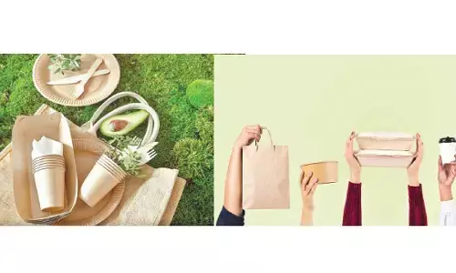 Eco-Friendly Packaging in the Food Industry: Trends and Innovations