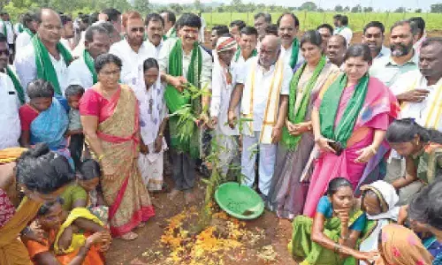 GIC’s bamboo drive rekindles hope for Kolam tribes