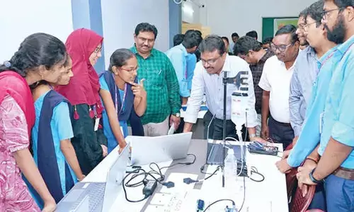 Youth backbone of nation’s development: Collector