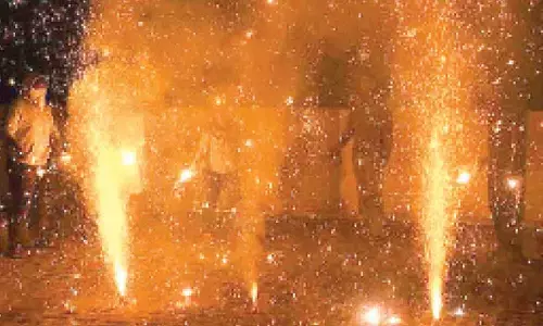 Crackers use in Delhi-NCR may rise by 40 pc this Diwali