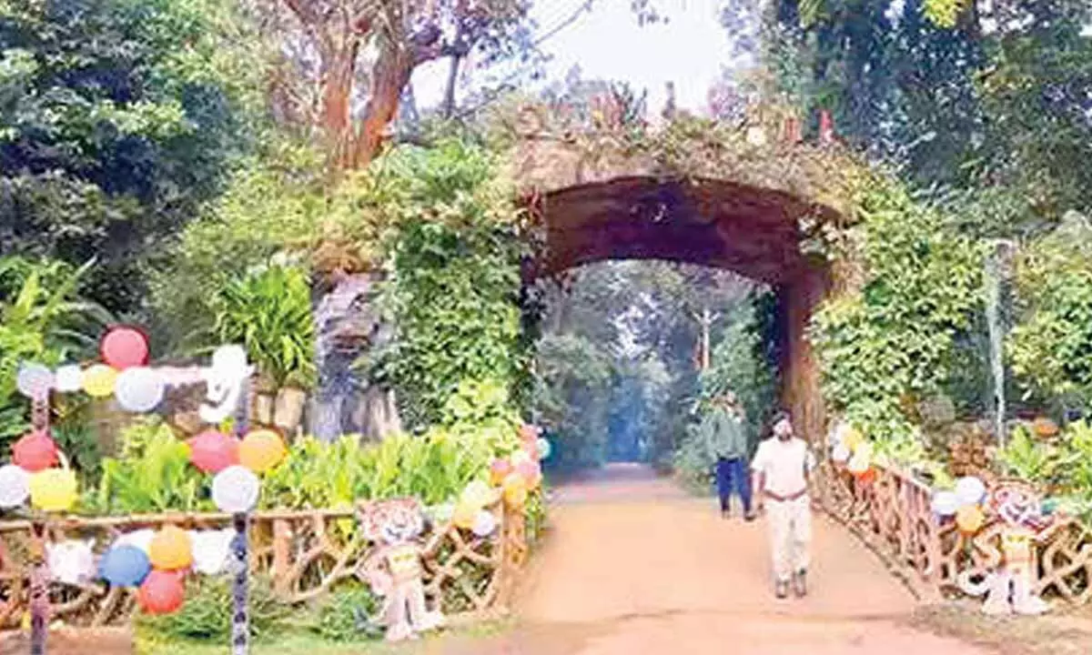 Similipal Tiger Reserve reopens for tourists Similipal Tiger Reserve reopens for tourists