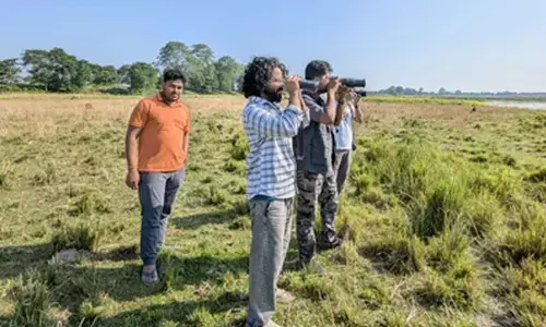 Assam’s Kaziranga records 146 bird species in latest survey