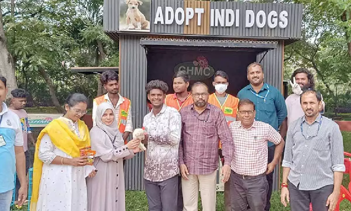 GHMC Indie Puppy adoption drive finds homes for 11 dogs