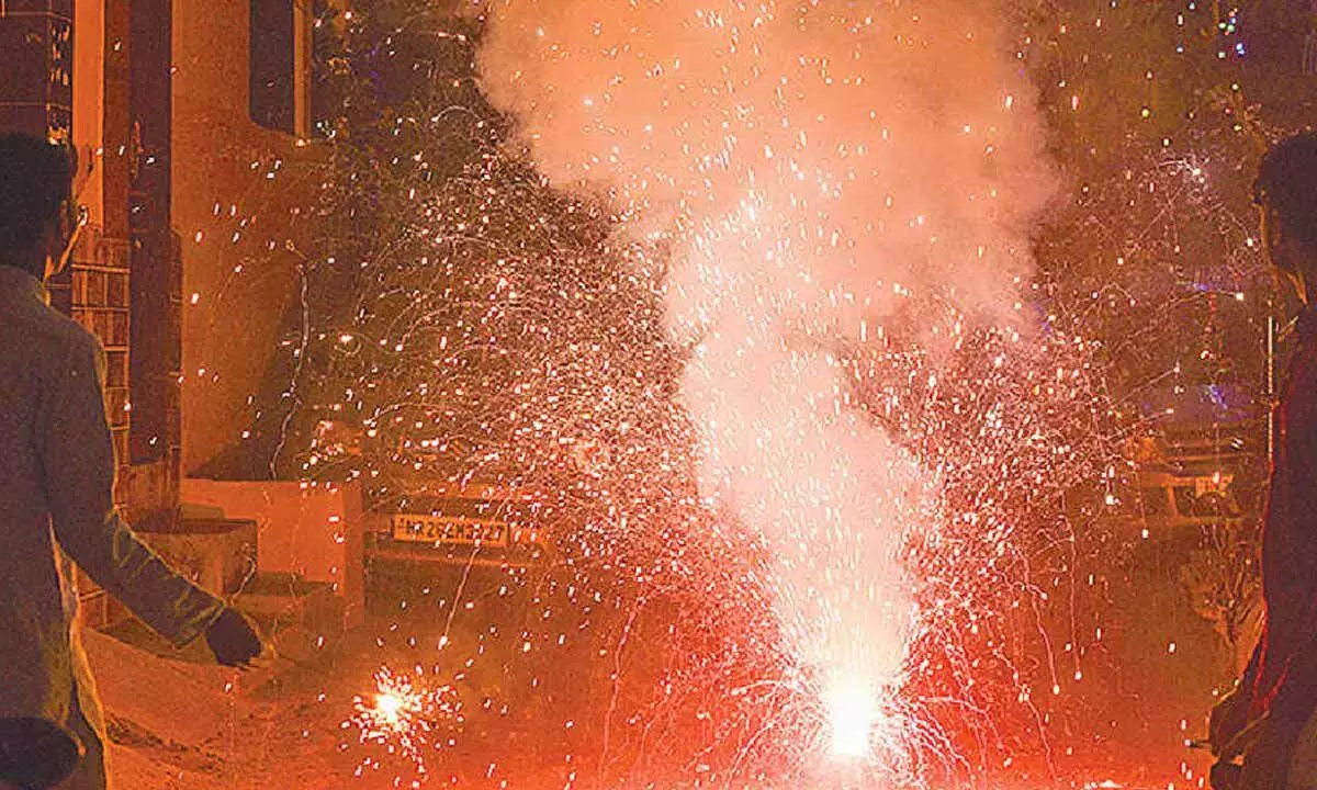 People urged to celebrate eco-friendly Deepavali with green crackers