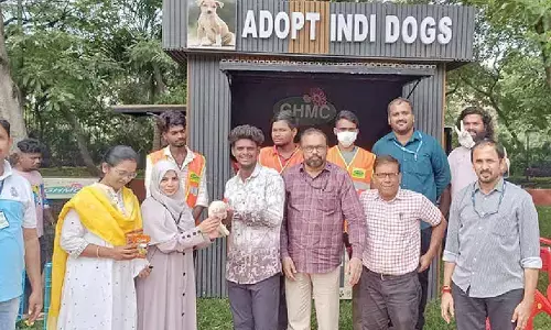 GHMC Indie Puppy adoption drive finds homes for 11 dogs