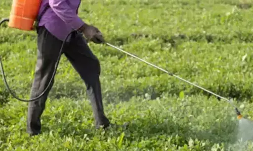 Cancel fertiliser price hike; tenant farmers demand