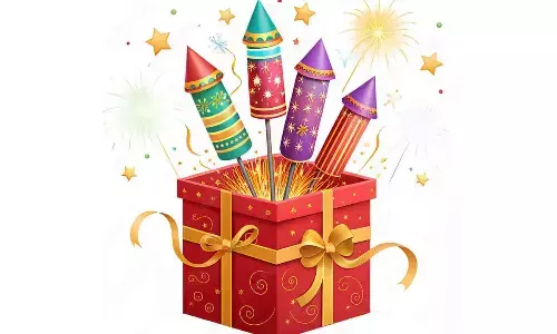 Police seize excess firecrackers, FIR filed against shop owners