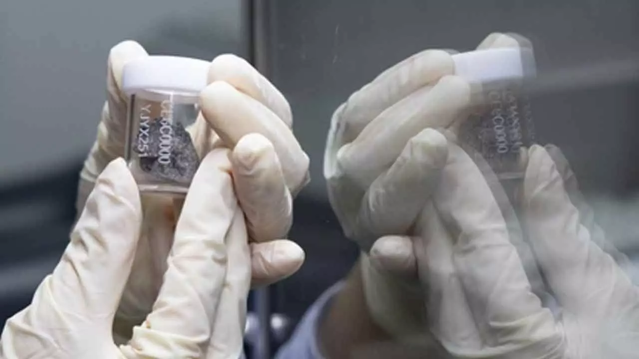 Scientists discover rare meteorite relics in Change-6 lunar samples Scientists discover rare meteorite relics in Change-6 lunar samples