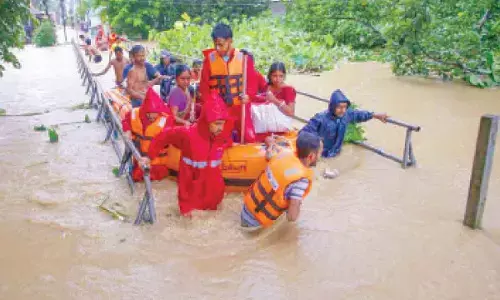 UP sends 1,000 quintals wheat seeds to flood-hit Pb