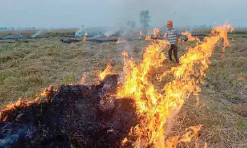 Sirsa accuses Punjab AAP of stubble burning