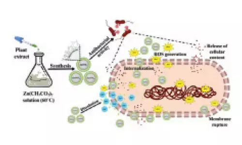 NIT Rourkela researchers pioneer green alternative to fight antibiotic resistance