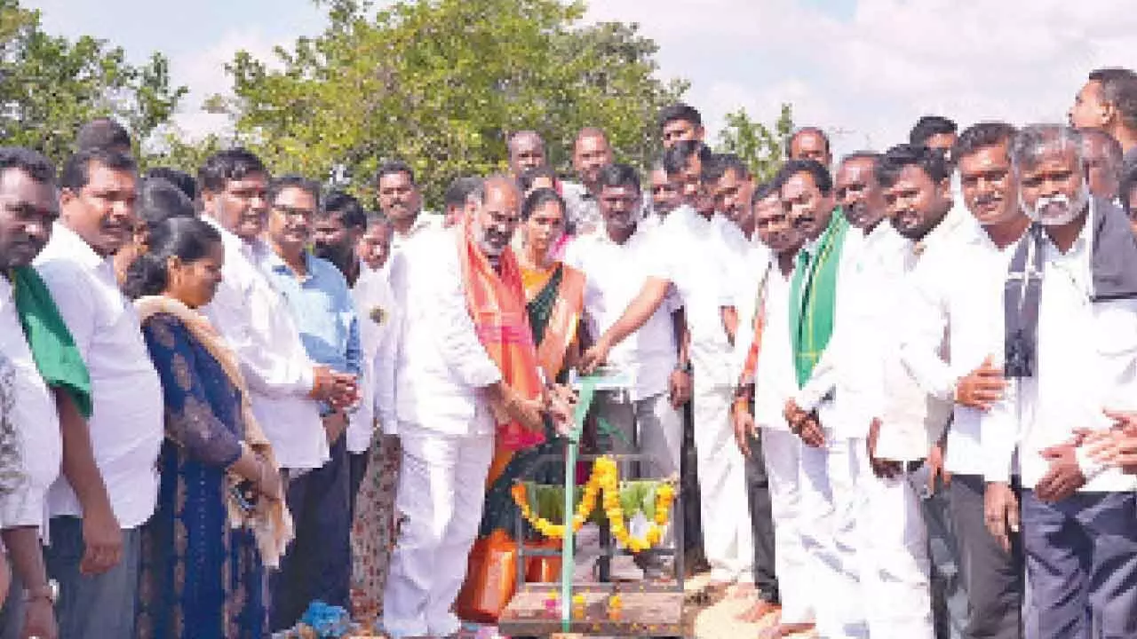 Govt Whip: Sell paddy only at official procurement centres Govt Whip: Sell paddy only at official procurement centres