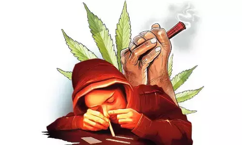 Trans-state swoop: EAGLE Force and NCB bust 500kg ganja haul