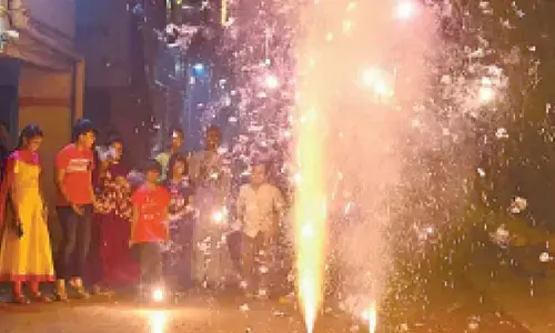 Less pollution this year on Diwali: CM Rekha