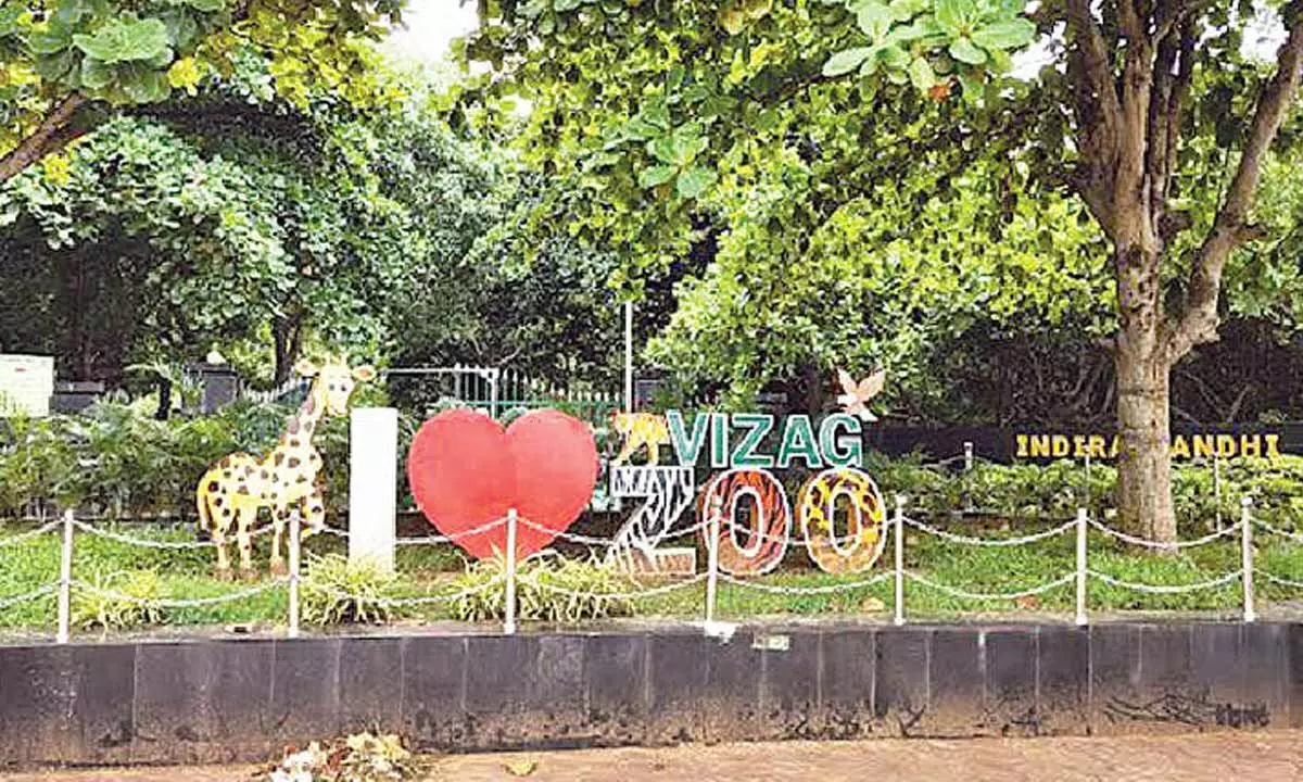 Zoo extends visiting hours on ‘Nagula Chavithi’ Zoo extends visiting hours on ‘Nagula Chavithi’