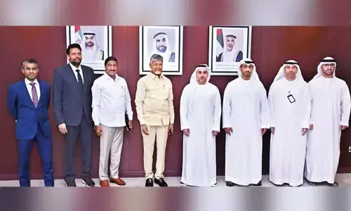 Naidu hardsells AP to UAE investors